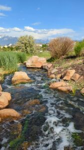 Home pxl 20230609 234357799.ts exported 18973 1687278690088