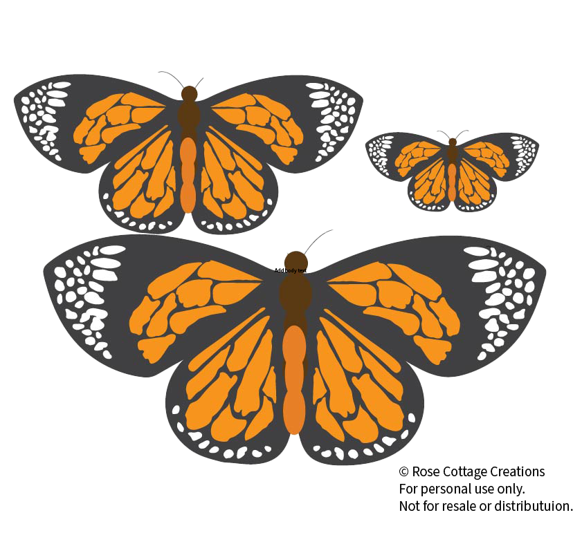 3xmonarchtransparent