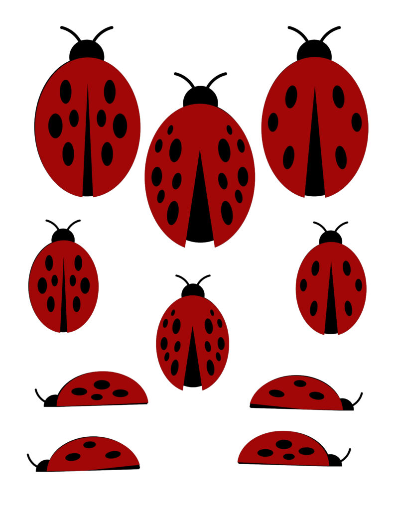 Ladybug Picnic