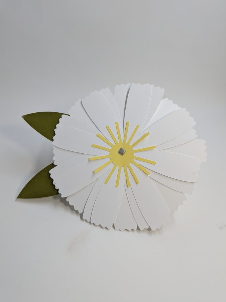 pxl 20260202 191253349