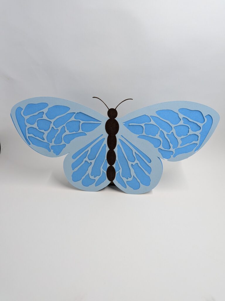 pxl 20260202 191808471