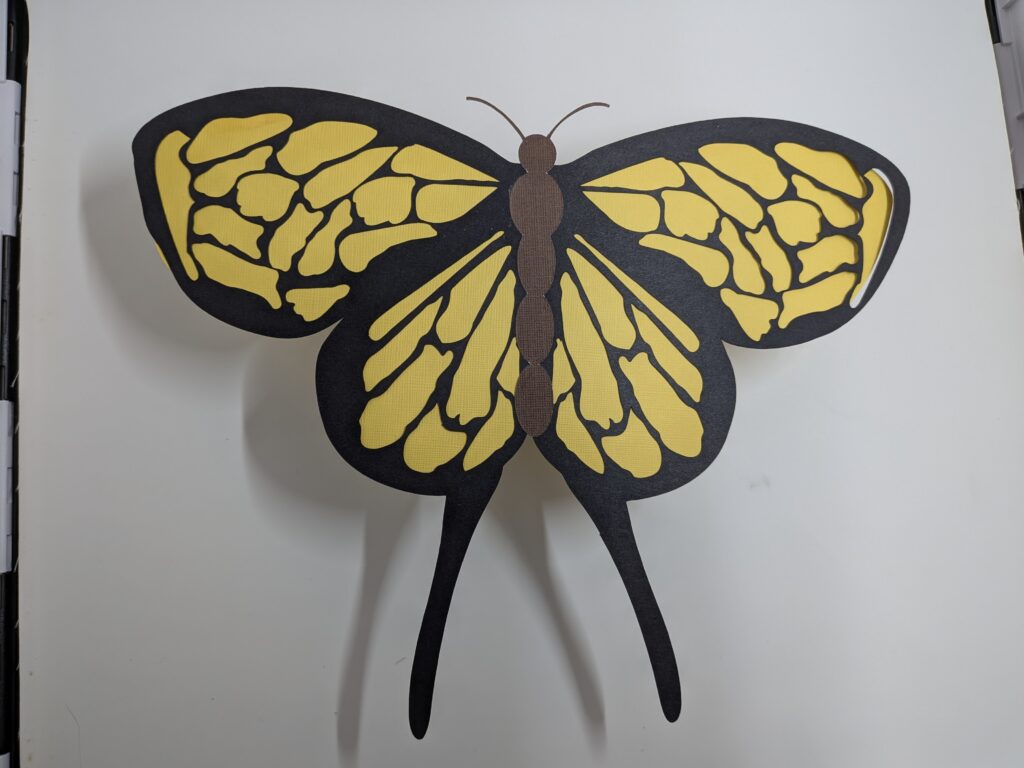 pxl 20260202 191902446