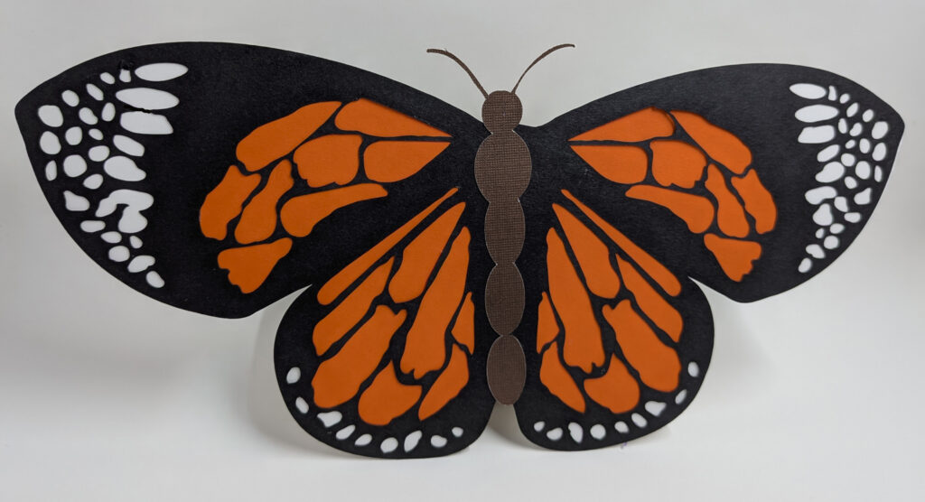 pxl 20260202 191941778