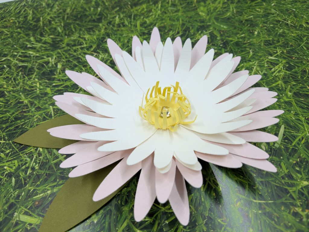 pxl 20260217 032401084