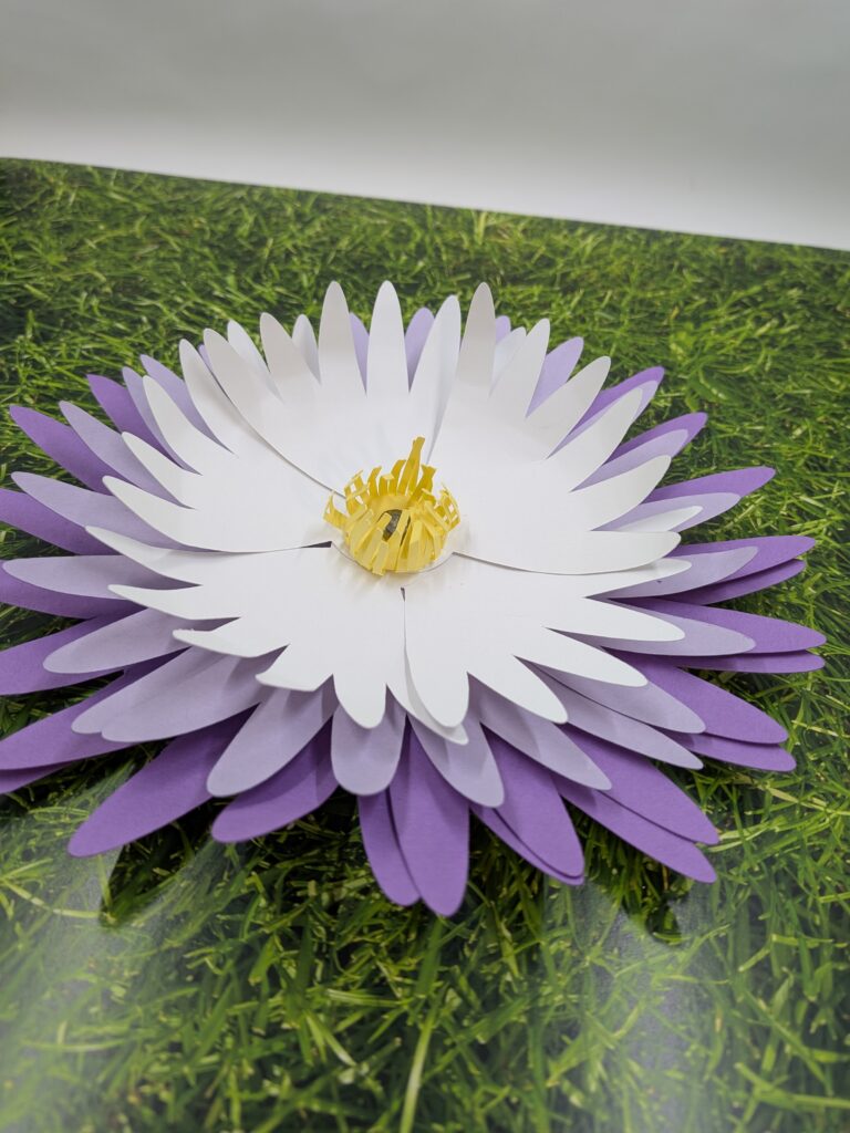 pxl 20260217 032826199