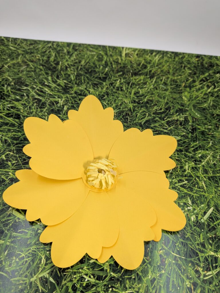 pxl 20260217 033334481