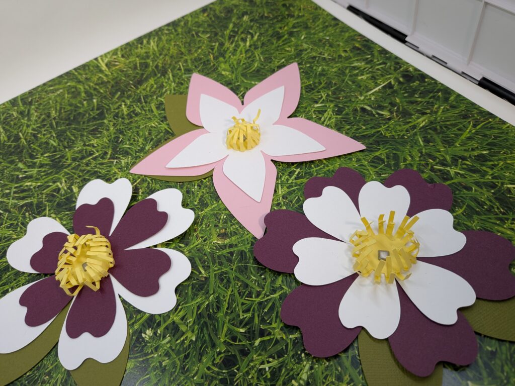 pxl 20260217 033630334