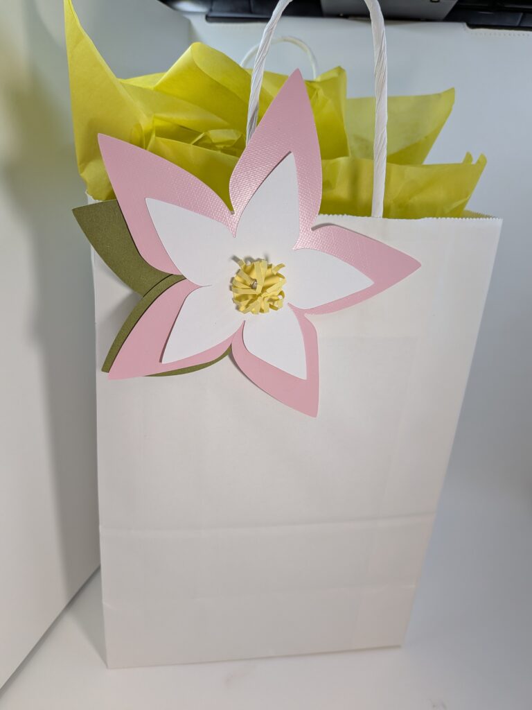 pxl 20260217 033708389