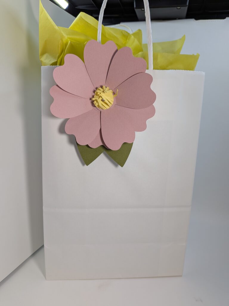 pxl 20260217 033728302