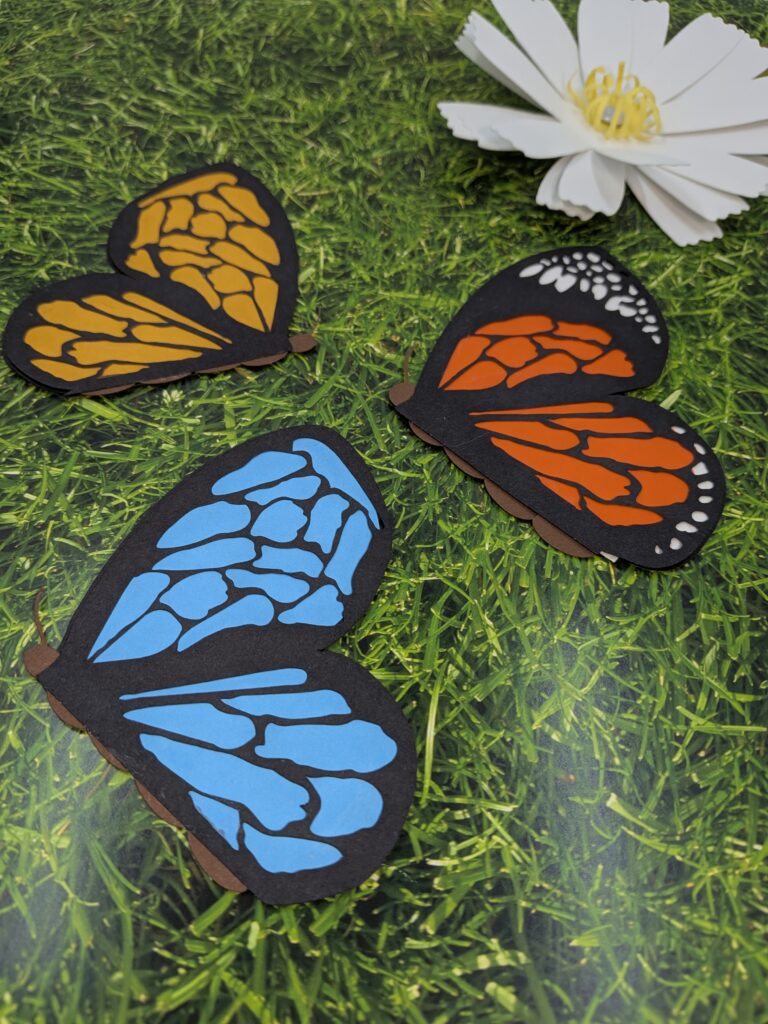 pxl 20260217 034039436