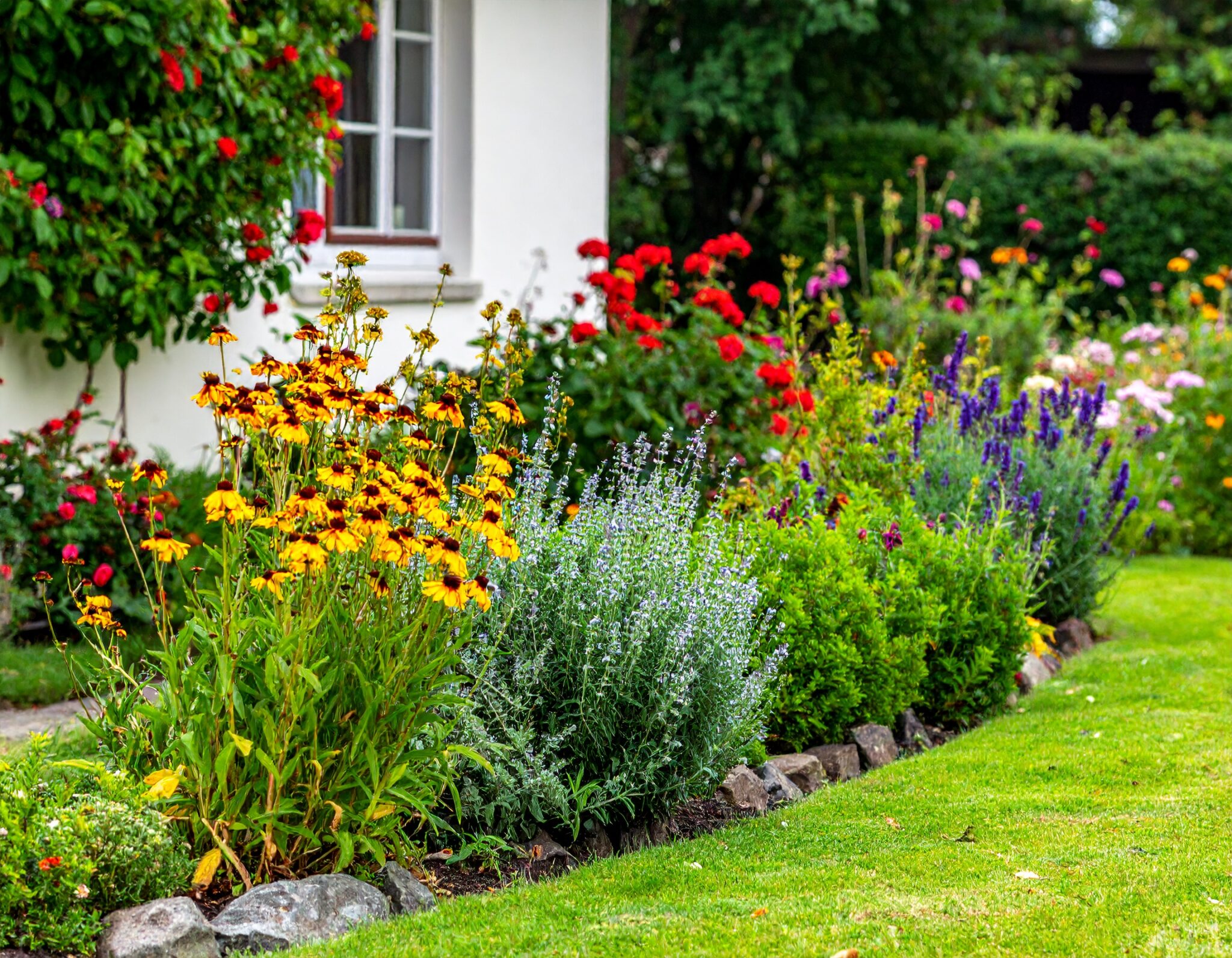 firefly photo featuring a cottage garden with blooming flowers and herbs without people or animals (1)