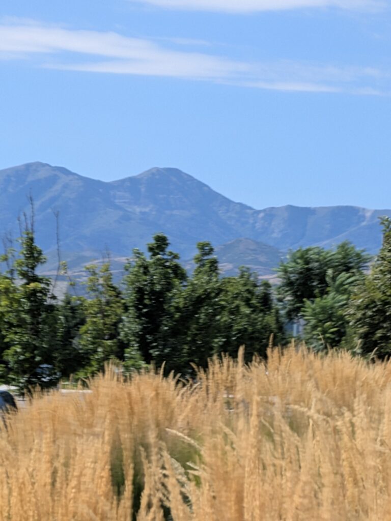 Intermountain West Natives Inter Mountain West